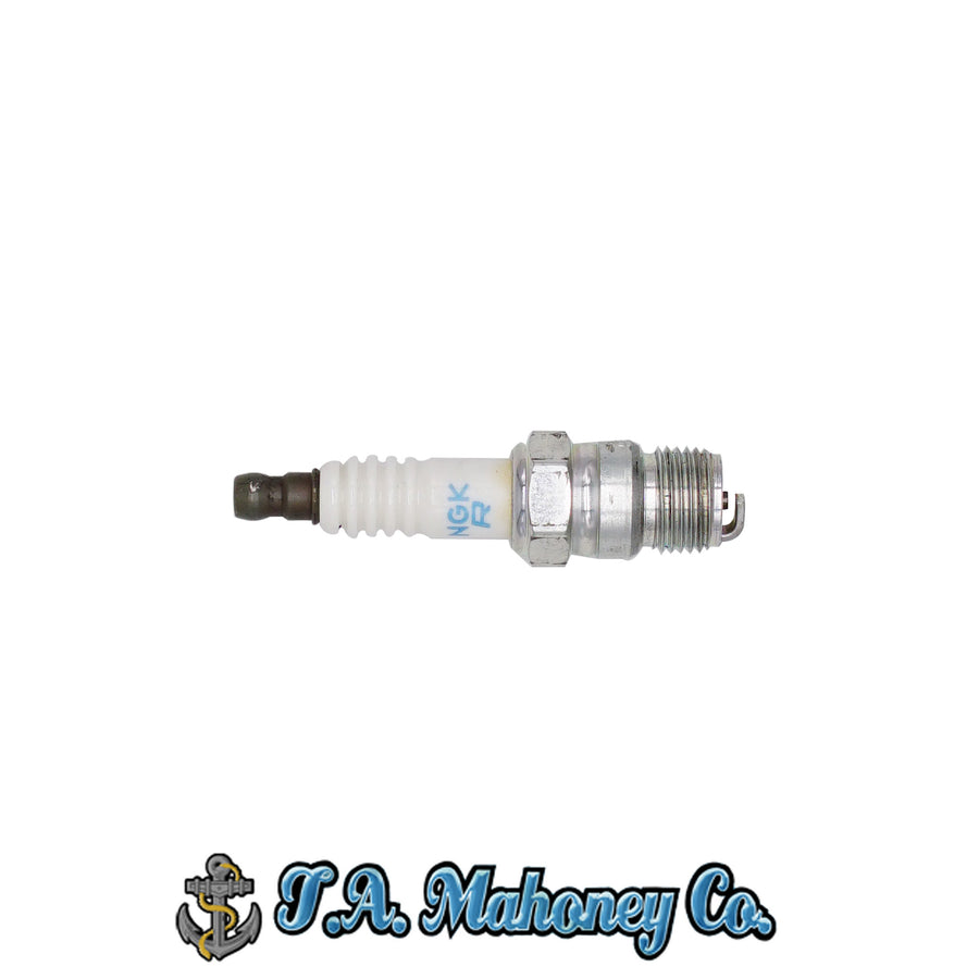 SPARK PLUG- NGK BR6FS